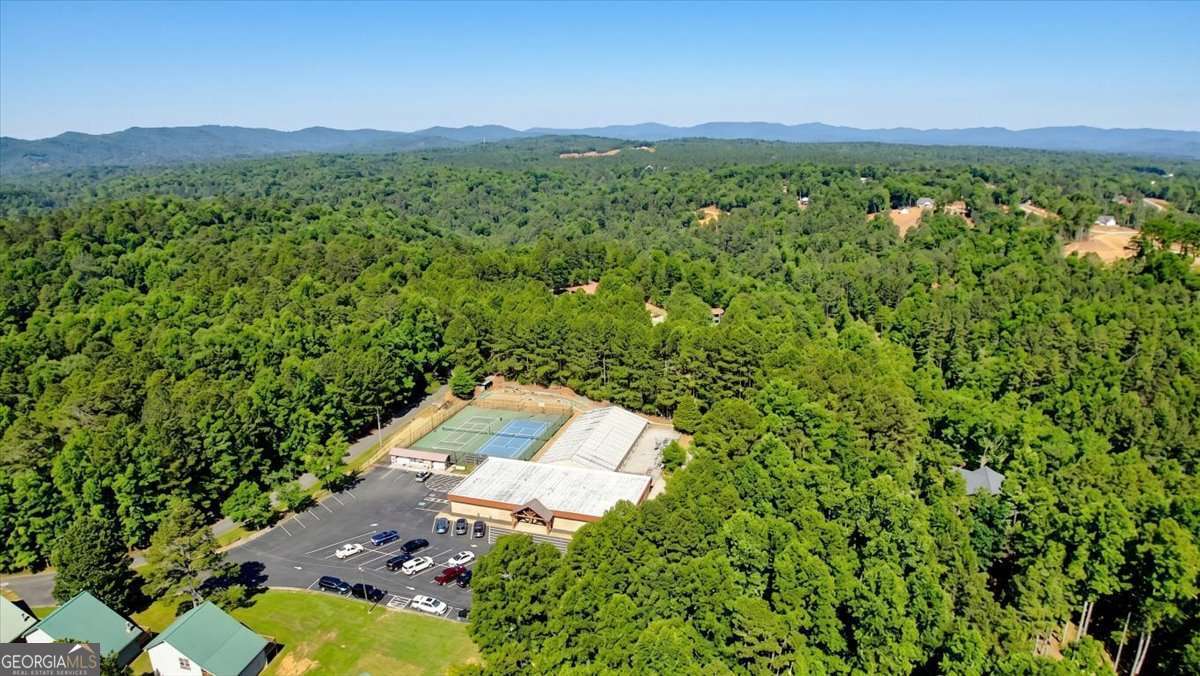 61 Gemini Court Ellijay GA 30540