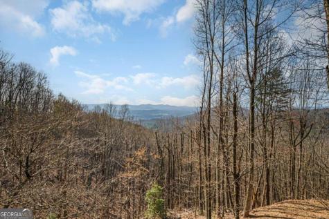 170 Walnut Ridge Ellijay GA 30536