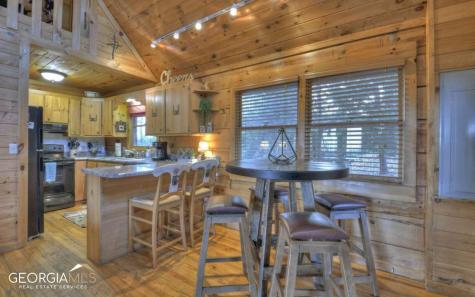 58 Deep Cove Road Blue Ridge GA 30513