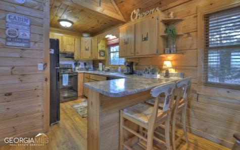 58 Deep Cove Road Blue Ridge GA 30513