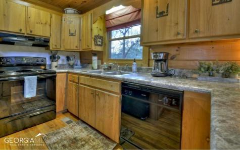 58 Deep Cove Road Blue Ridge GA 30513