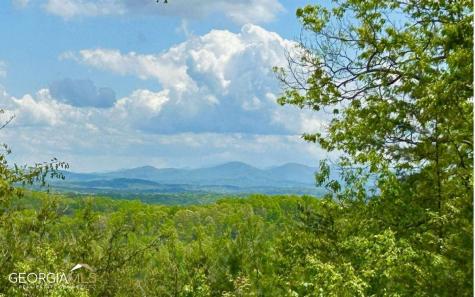 58 Deep Cove Road Blue Ridge GA 30513