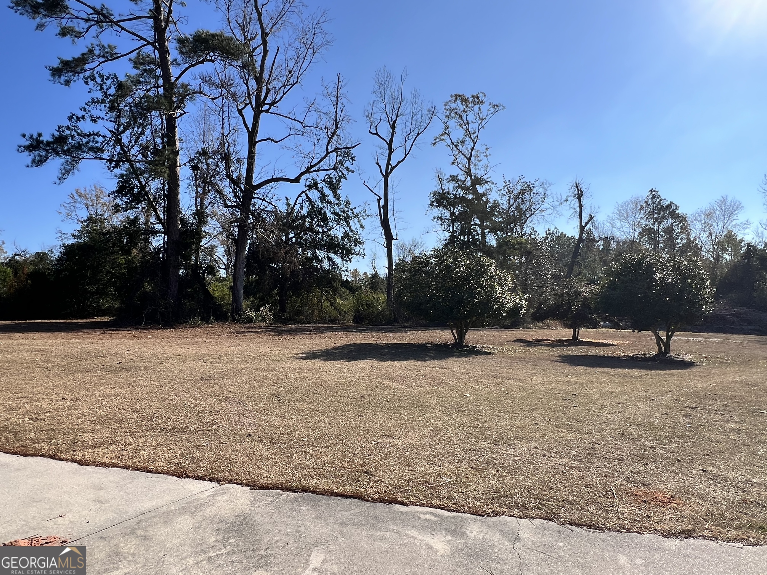 343 W Morrison Street Mount Vernon GA 30445
