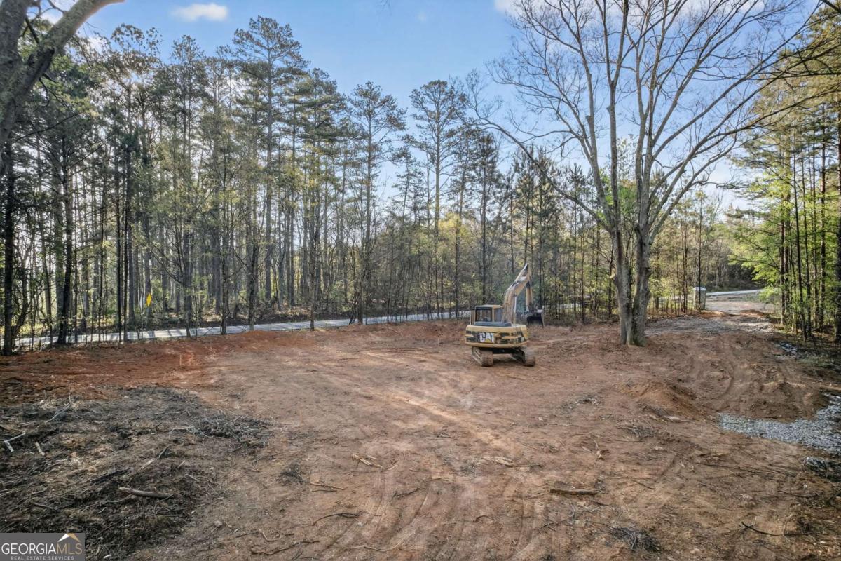 3230 Steadman Road Tallapoosa GA 30176