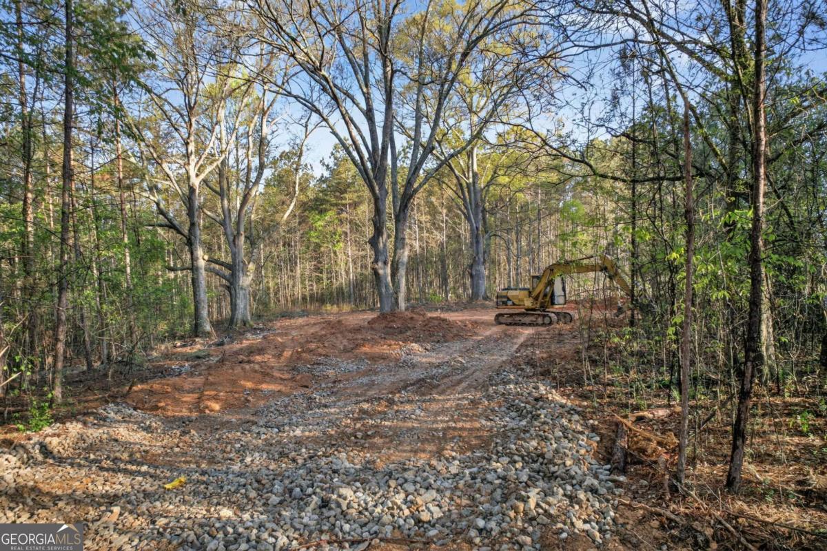 3230 Steadman Road Tallapoosa GA 30176