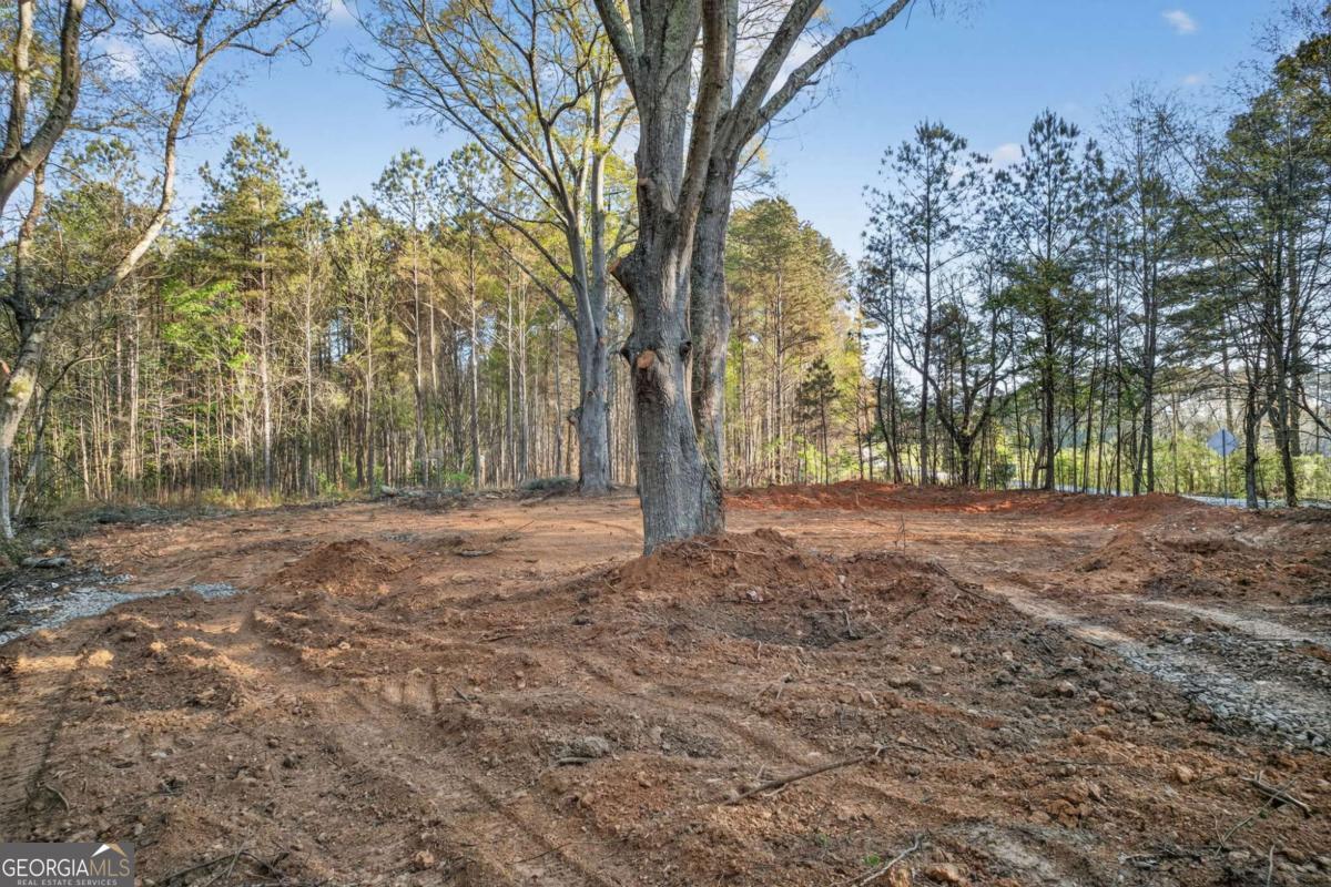 3230 Steadman Road Tallapoosa GA 30176