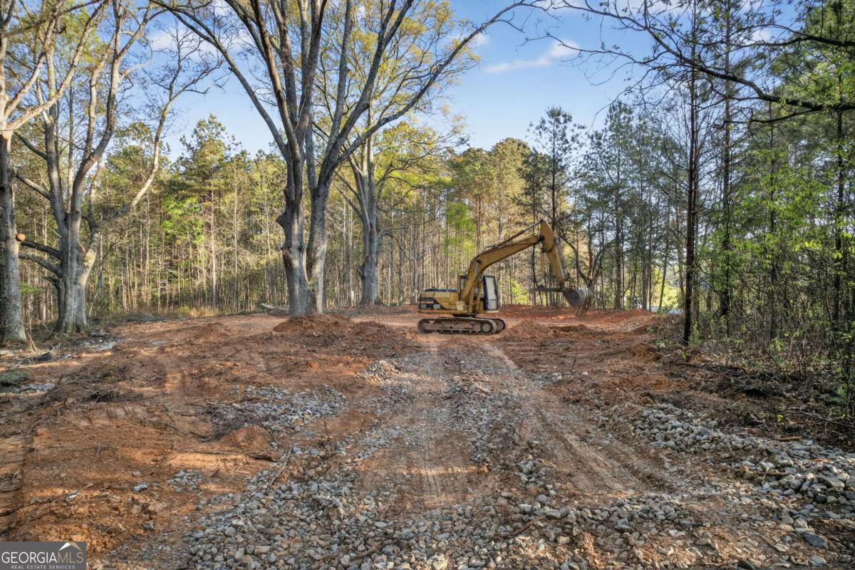 3230 Steadman Road Tallapoosa GA 30176