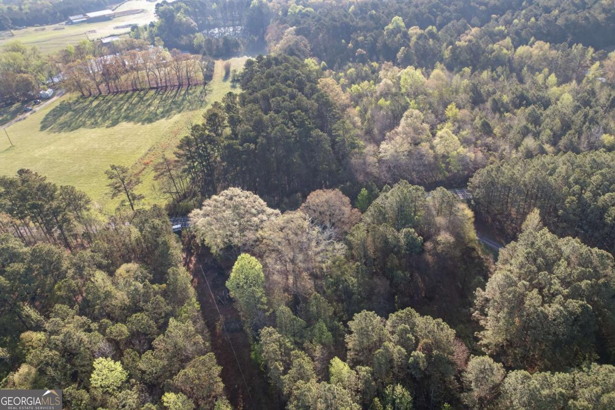 3230 Steadman Road Tallapoosa GA 30176