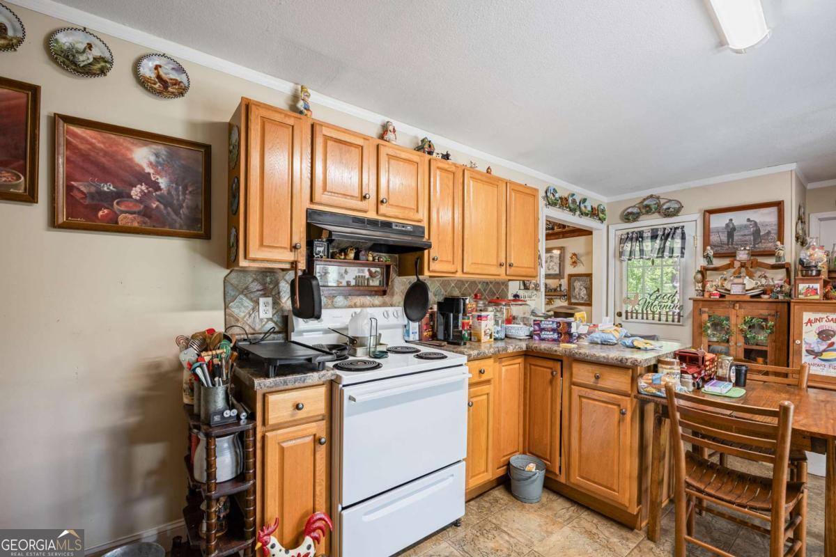 151 Ginn Street Carnesville GA 30521
