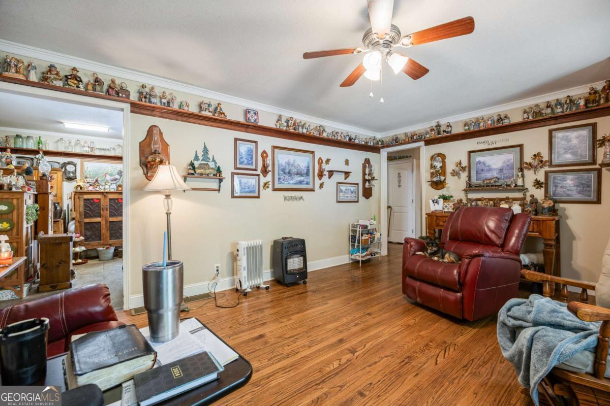 151 Ginn Street Carnesville GA 30521