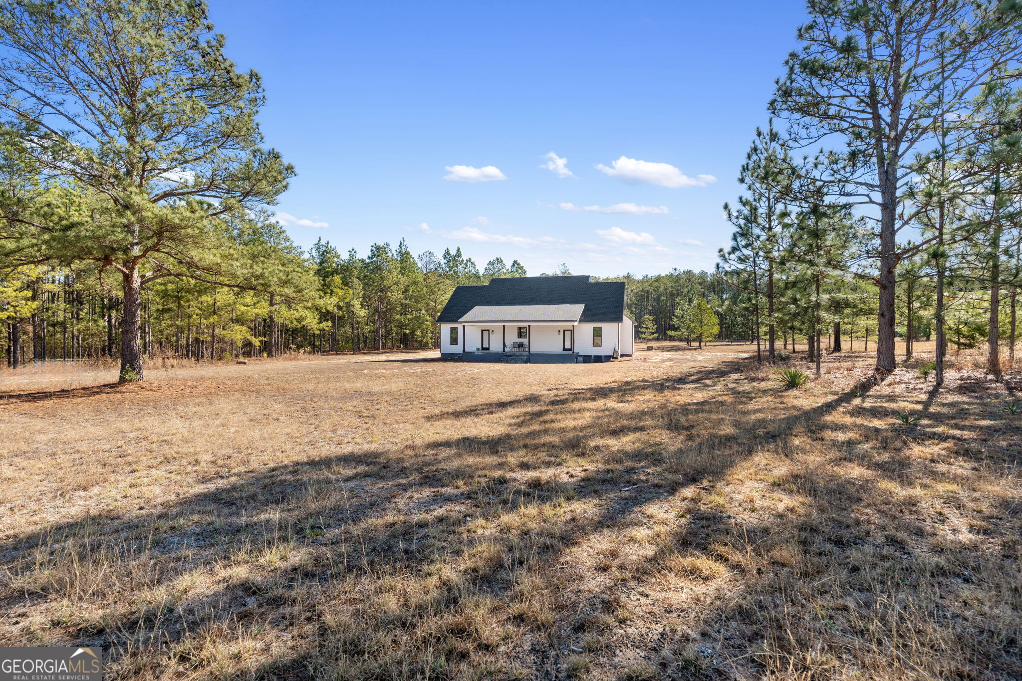 115 Watermelon Lane Mauk GA 31058
