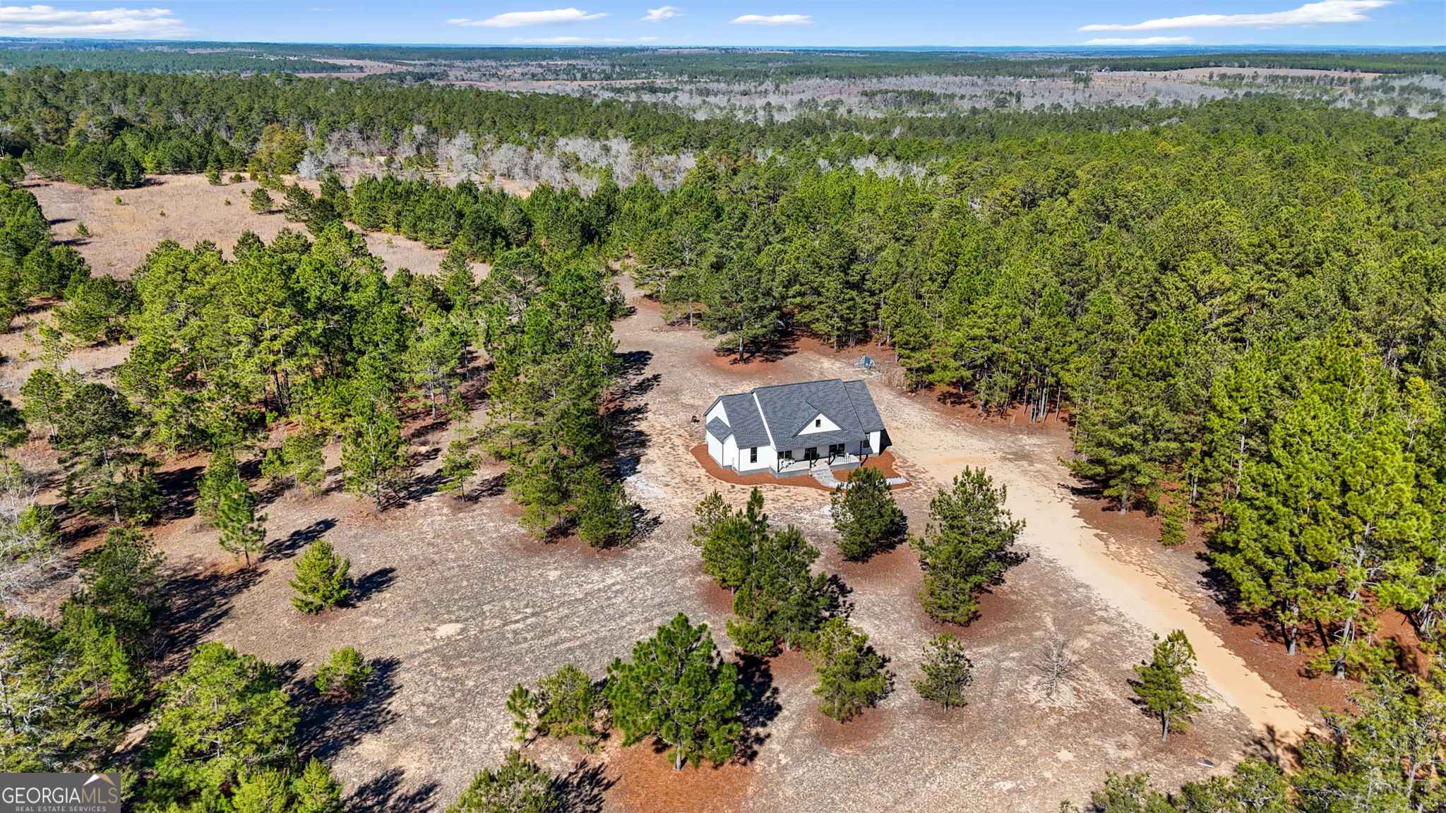 115 Watermelon Lane Mauk GA 31058
