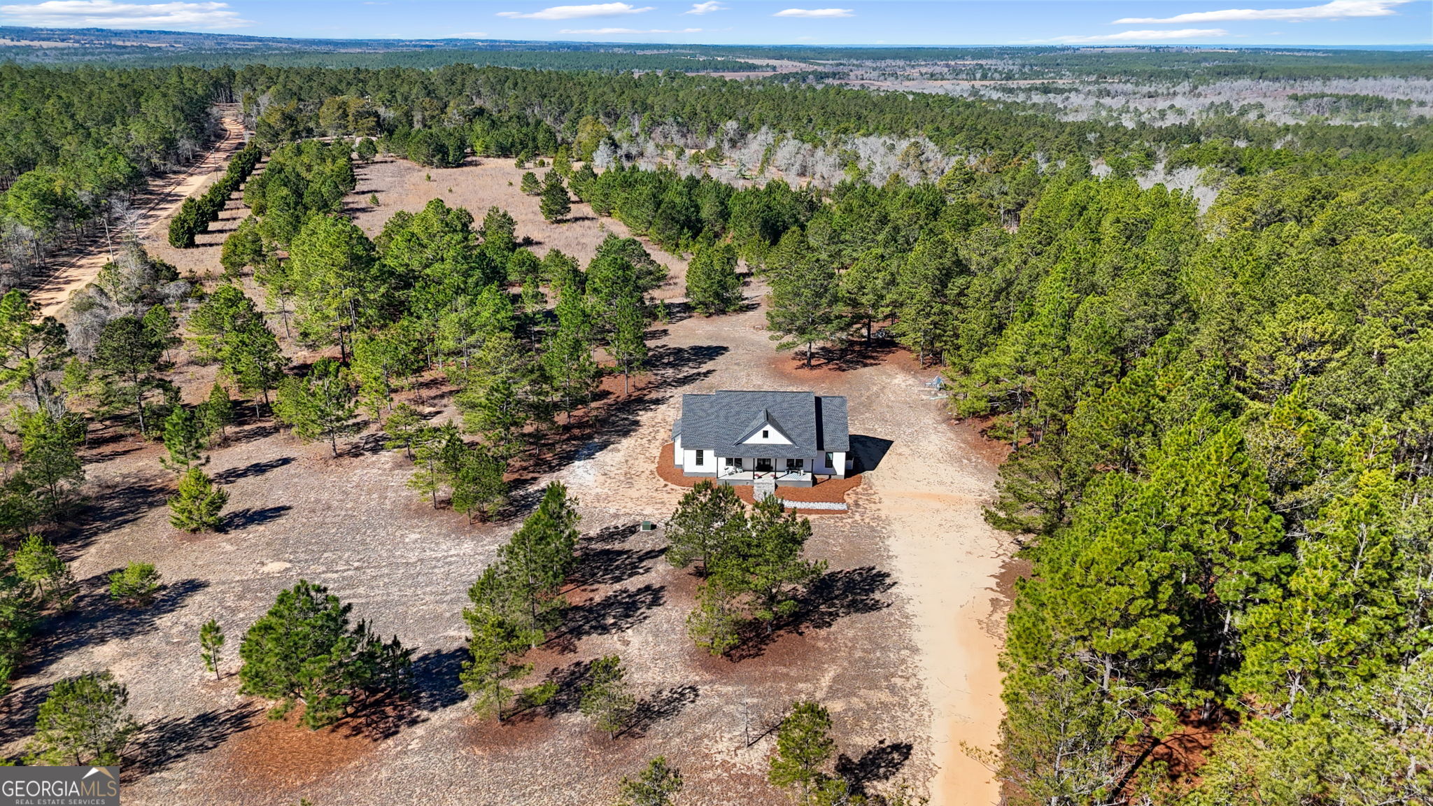 115 Watermelon Lane Mauk GA 31058