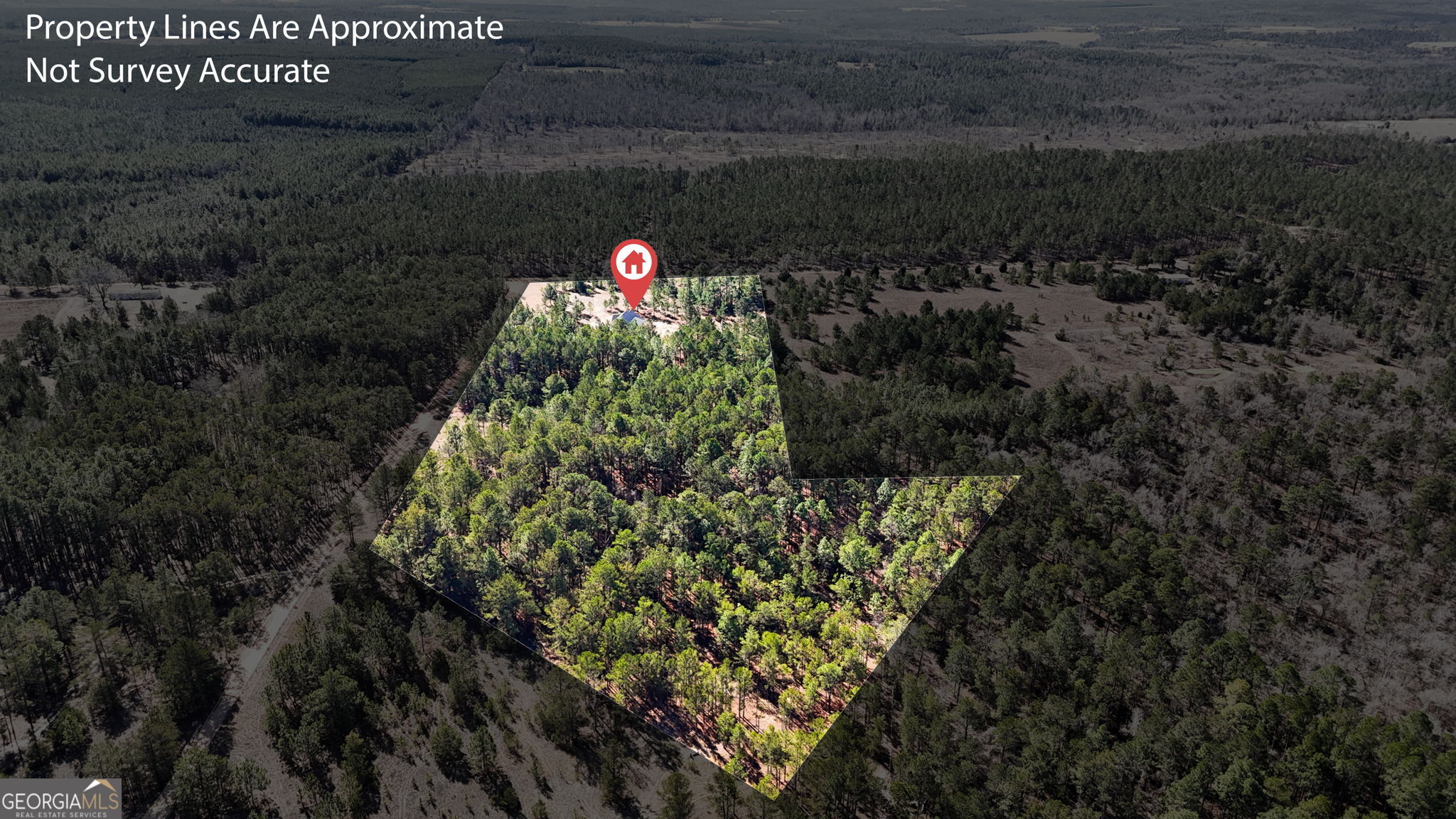 115 Watermelon Lane Mauk GA 31058