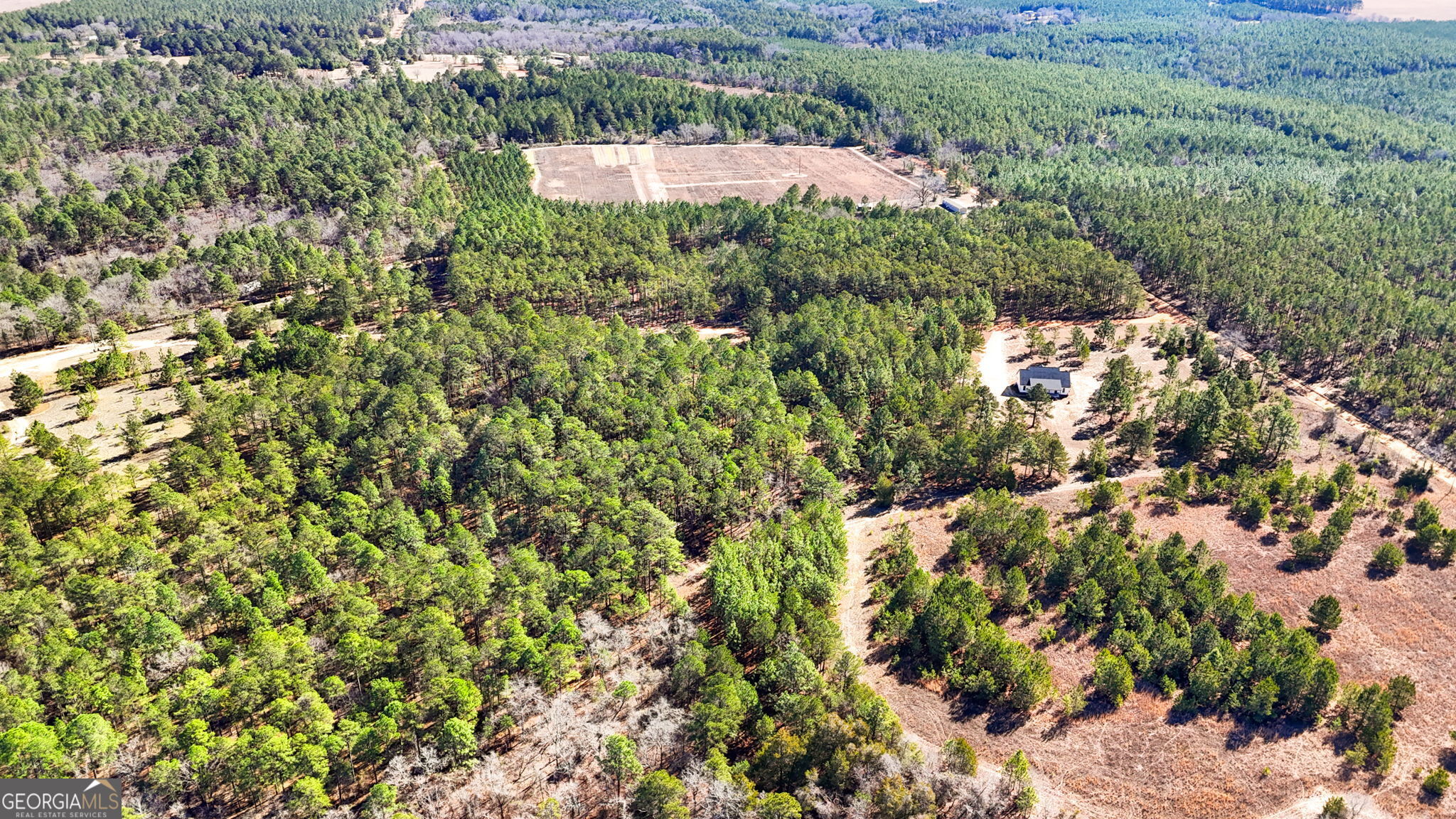 115 Watermelon Lane Mauk GA 31058