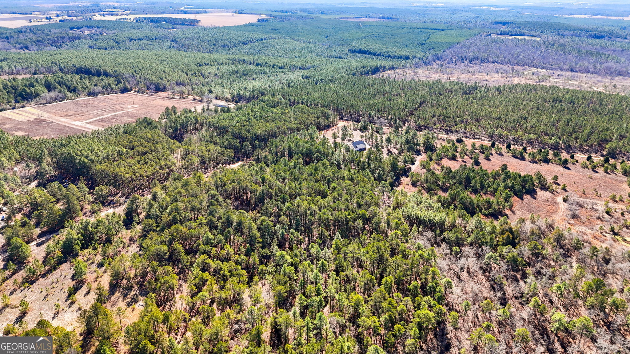 115 Watermelon Lane Mauk GA 31058
