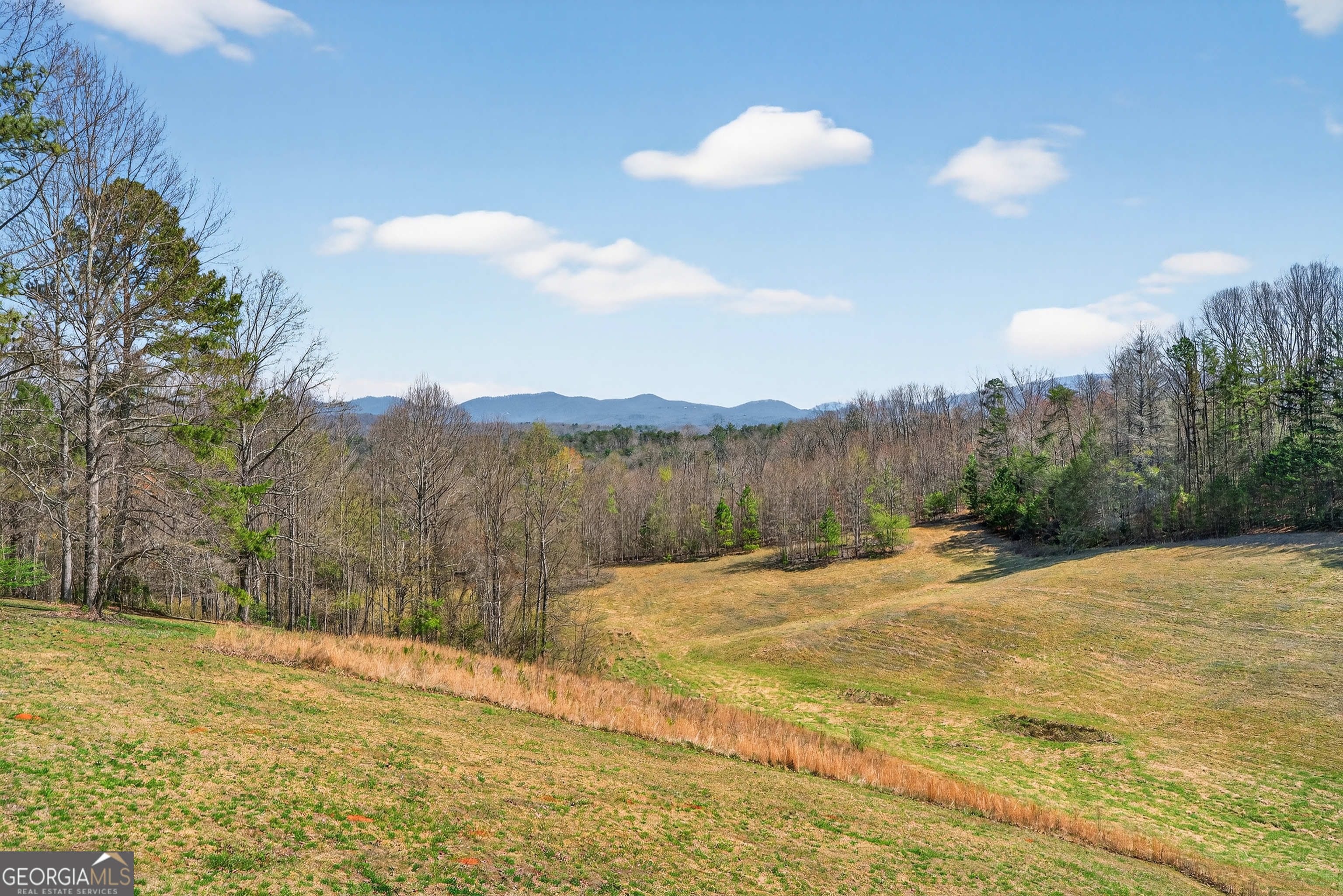358 Old Jones Road Ellijay GA 30536