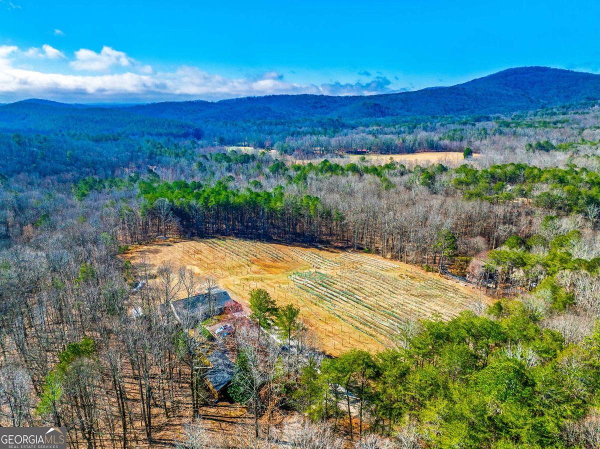 110 Rathgeb Trail Jasper GA 30143