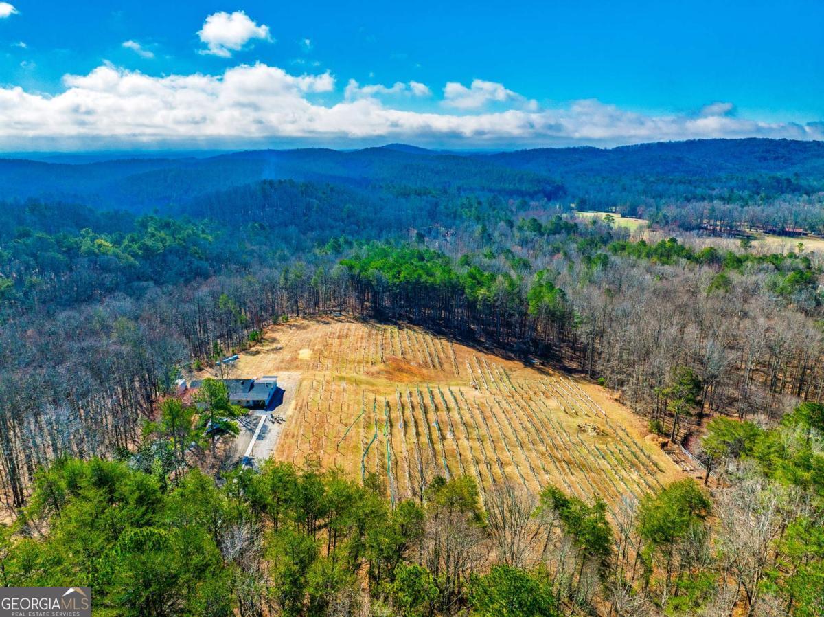 110 Rathgeb Trail Jasper GA 30143