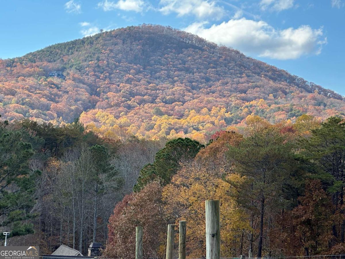 110 Rathgeb Trail Jasper GA 30143