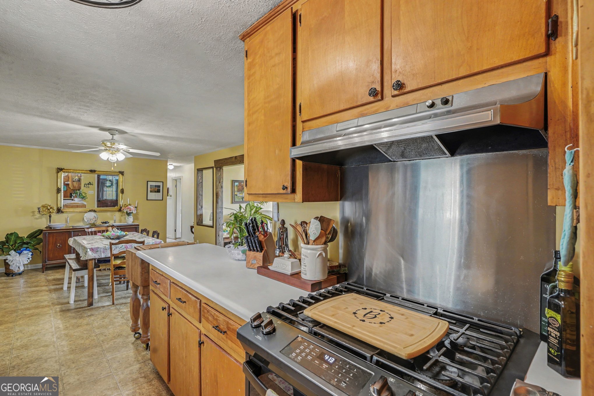 117 Dobbins Mill Road Griffin GA 30223
