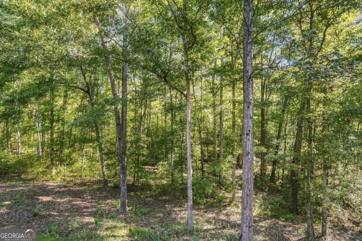 106 Shalea Lane Ball Ground GA 30107