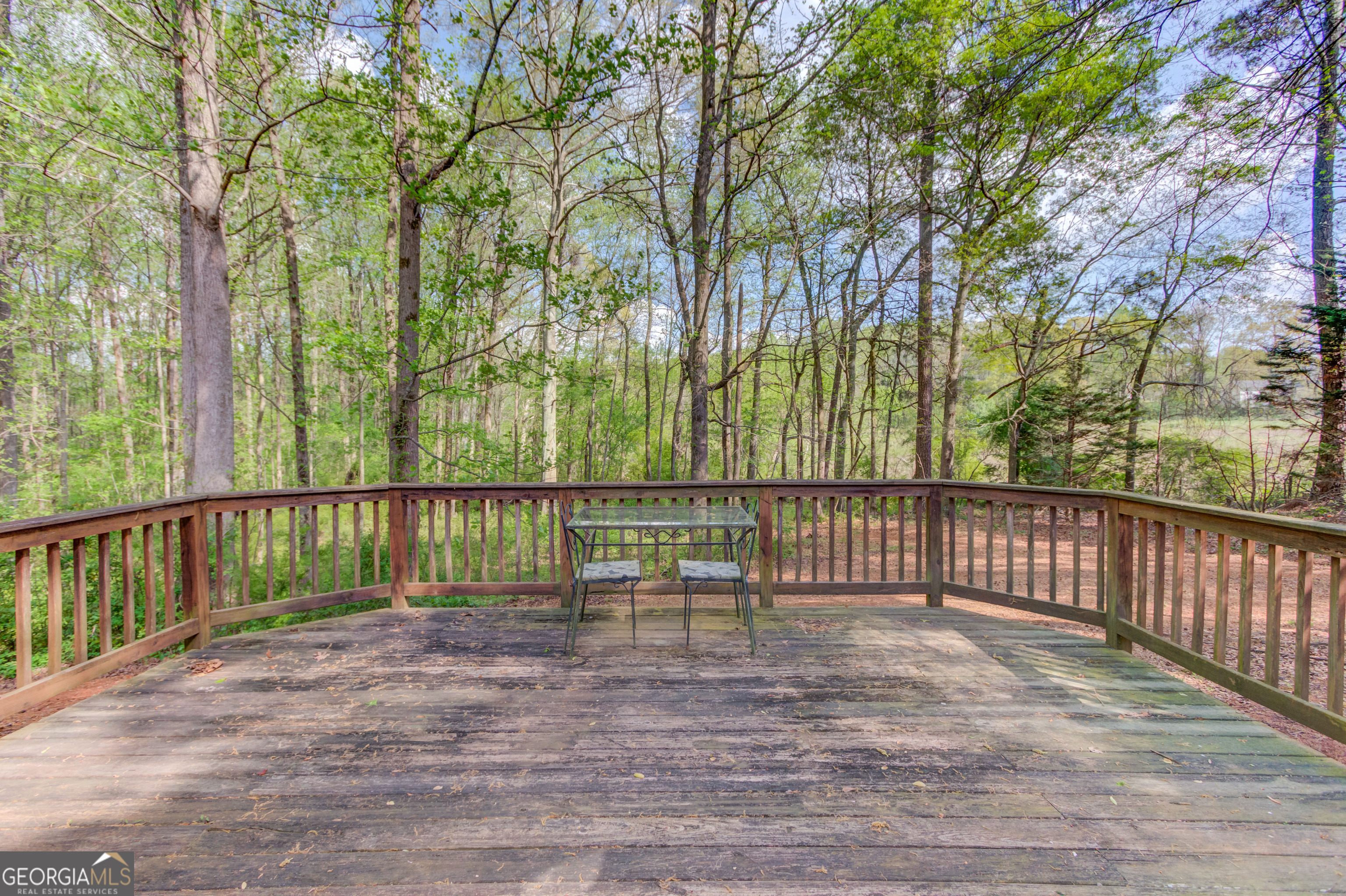 925 Nature Trail Bethlehem GA 30620
