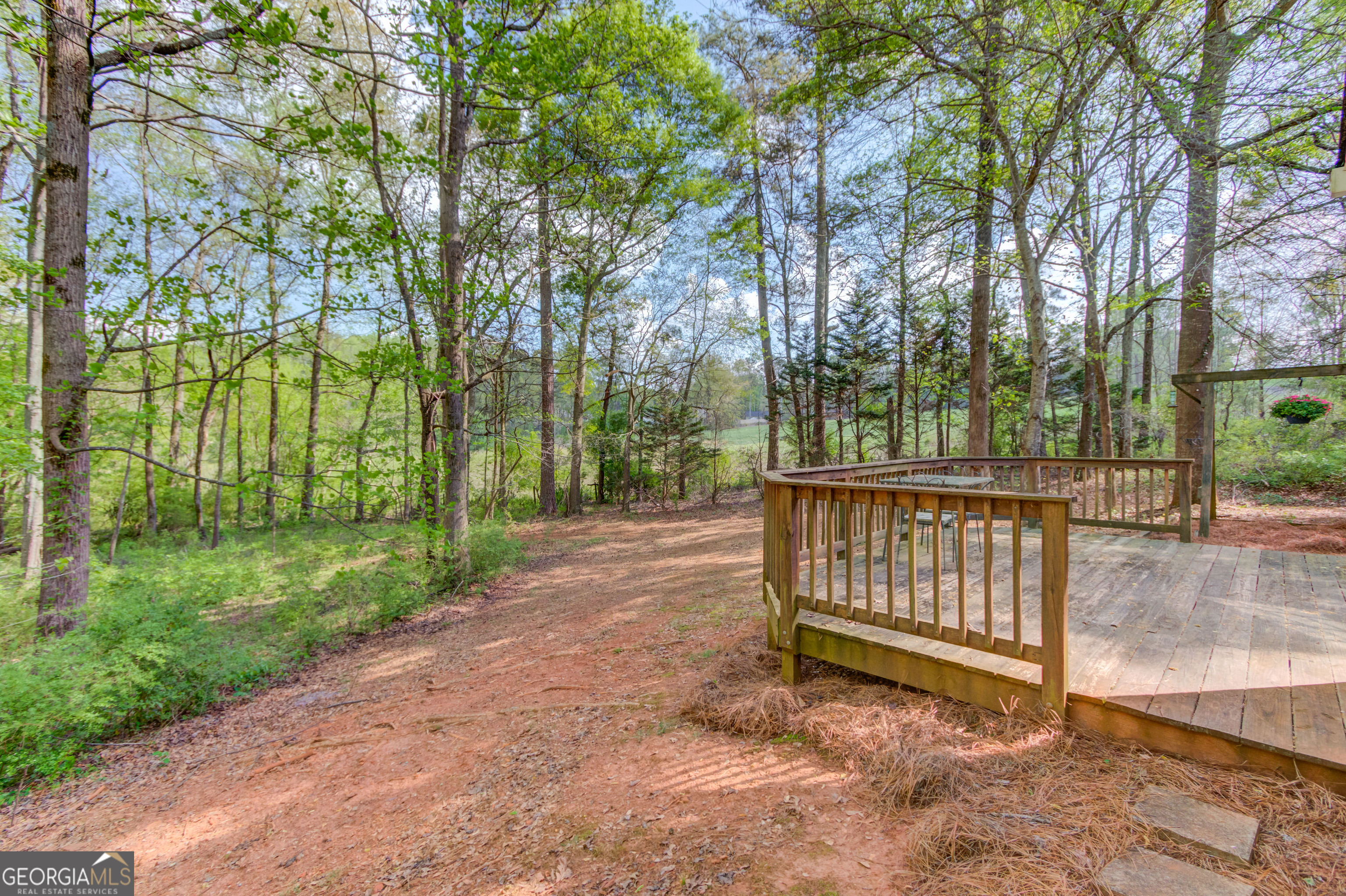 925 Nature Trail Bethlehem GA 30620