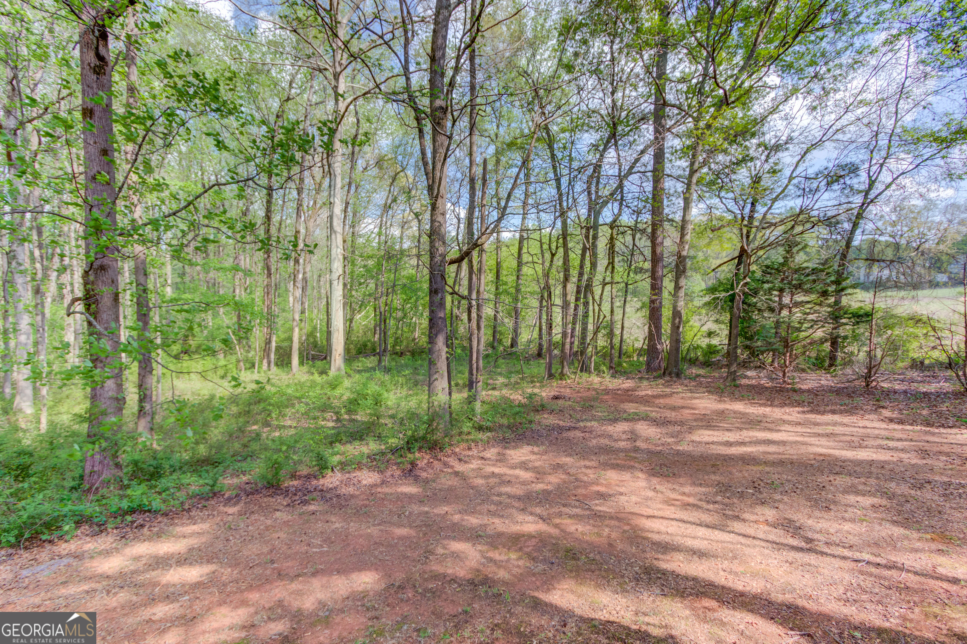 925 Nature Trail Bethlehem GA 30620