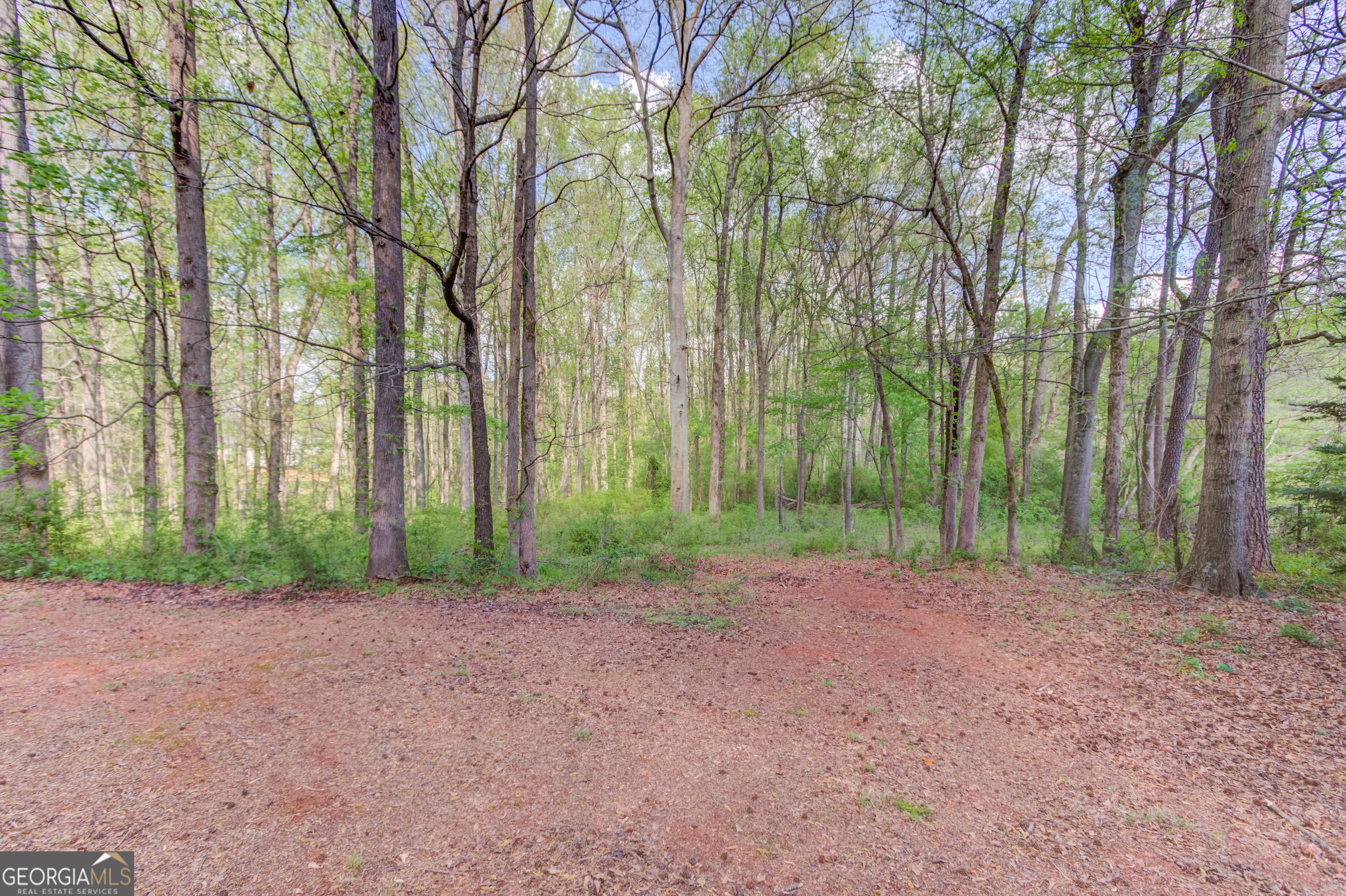 925 Nature Trail Bethlehem GA 30620