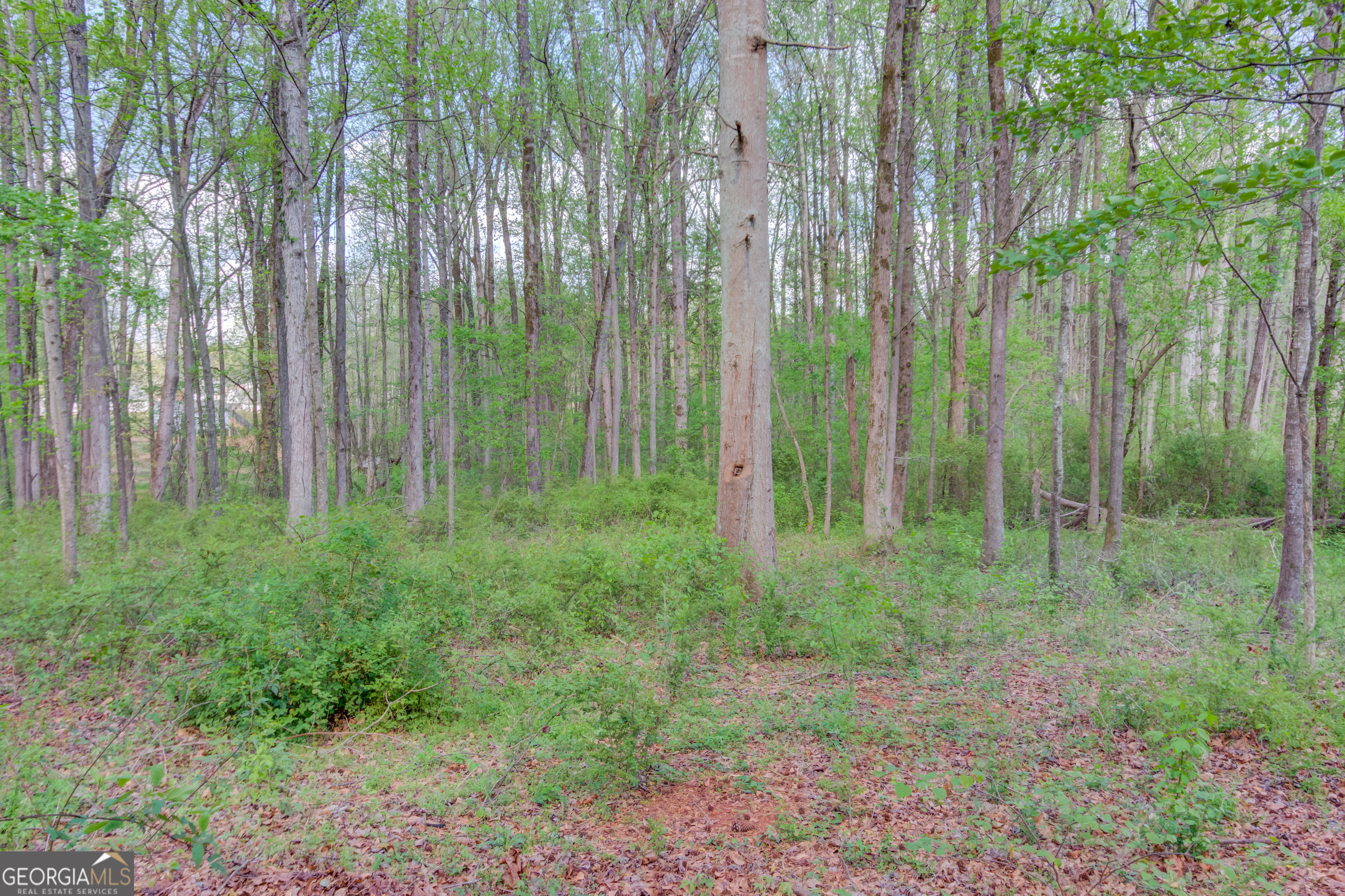 925 Nature Trail Bethlehem GA 30620
