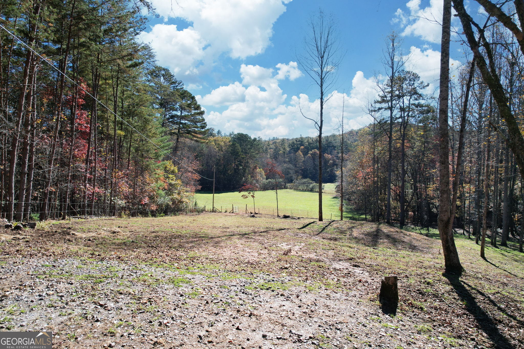 1099 Lickskillet Circle Epworth GA 30541