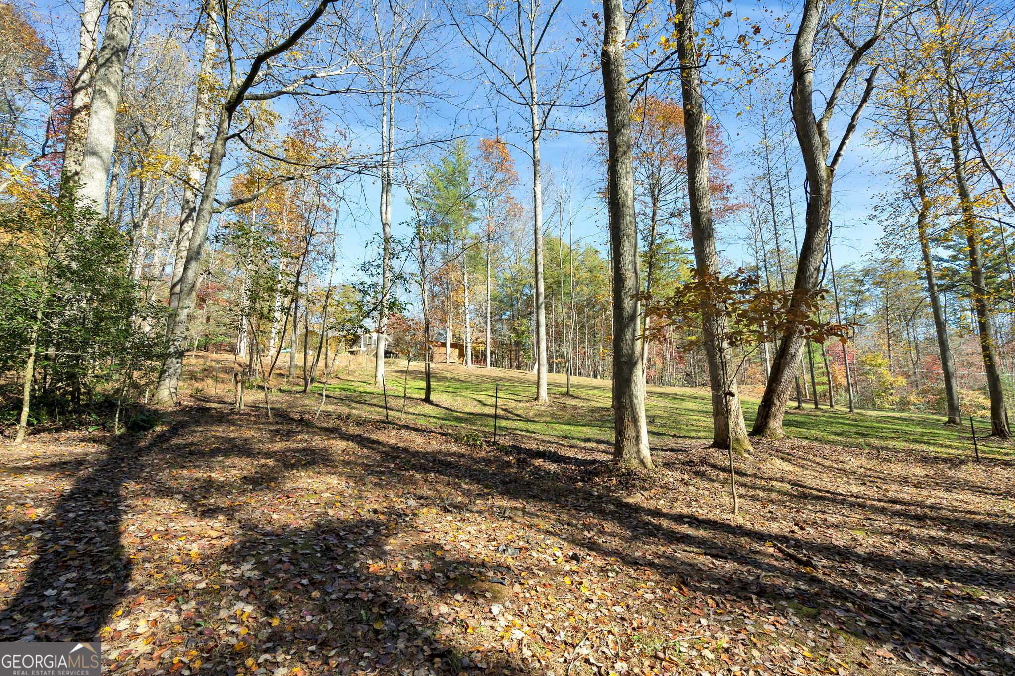 1099 Lickskillet Circle Epworth GA 30541