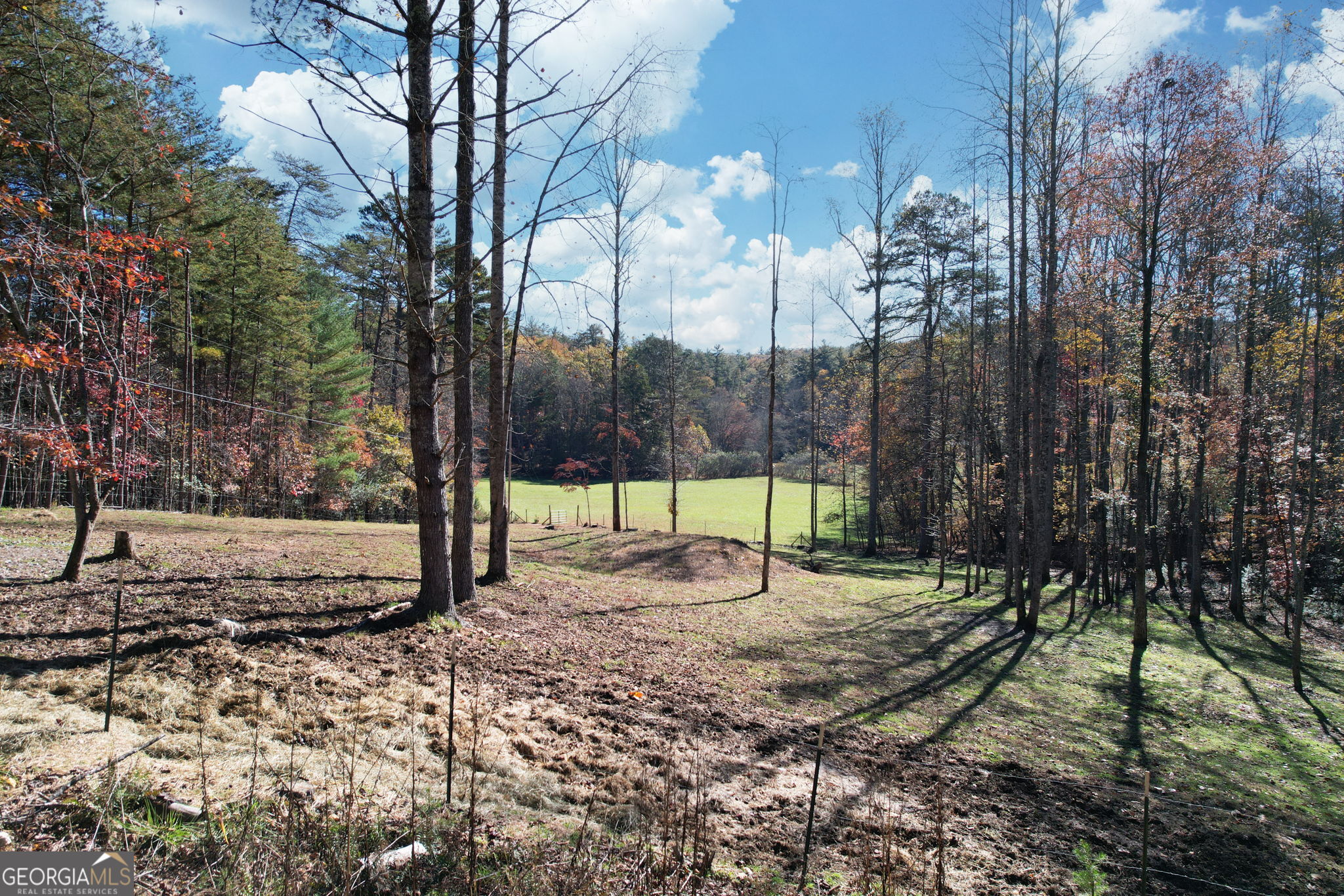 1099 Lickskillet Circle Epworth GA 30541