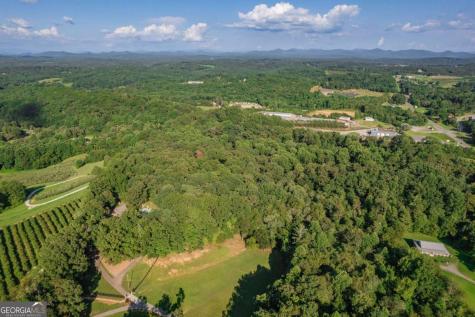270 Stone Lane Blue Ridge GA 30513
