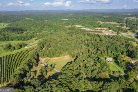 270 Stone Lane Blue Ridge GA 30513