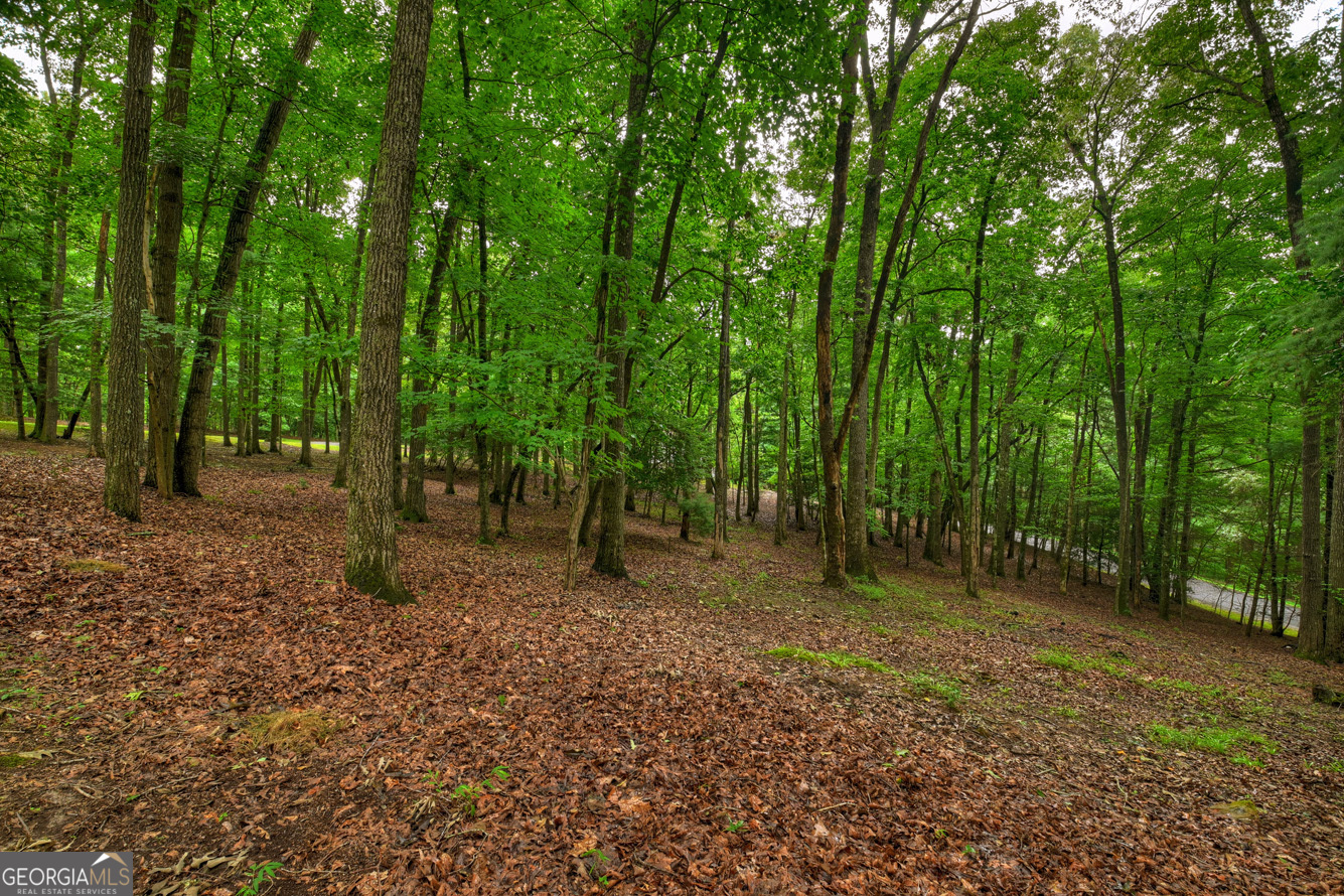 101 W D Court Ellijay GA 30540
