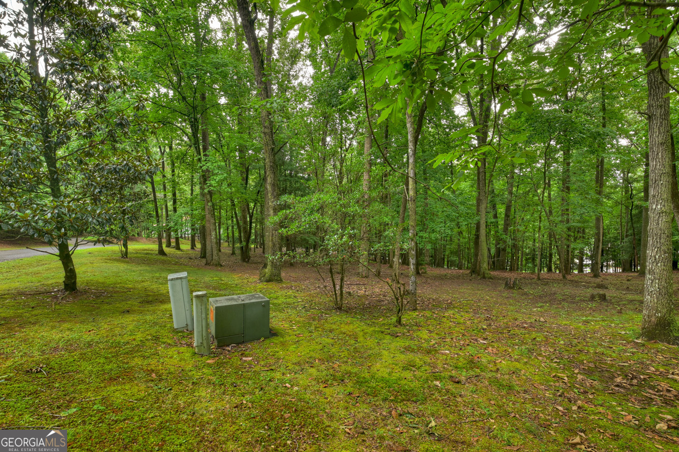 101 W D Court Ellijay GA 30540