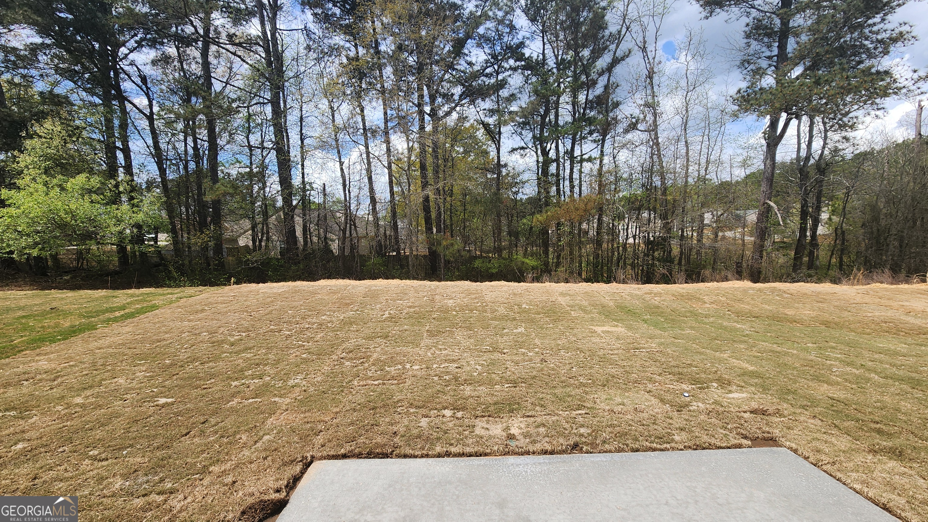 92 Silverleaf Trail Bethlehem GA 30620