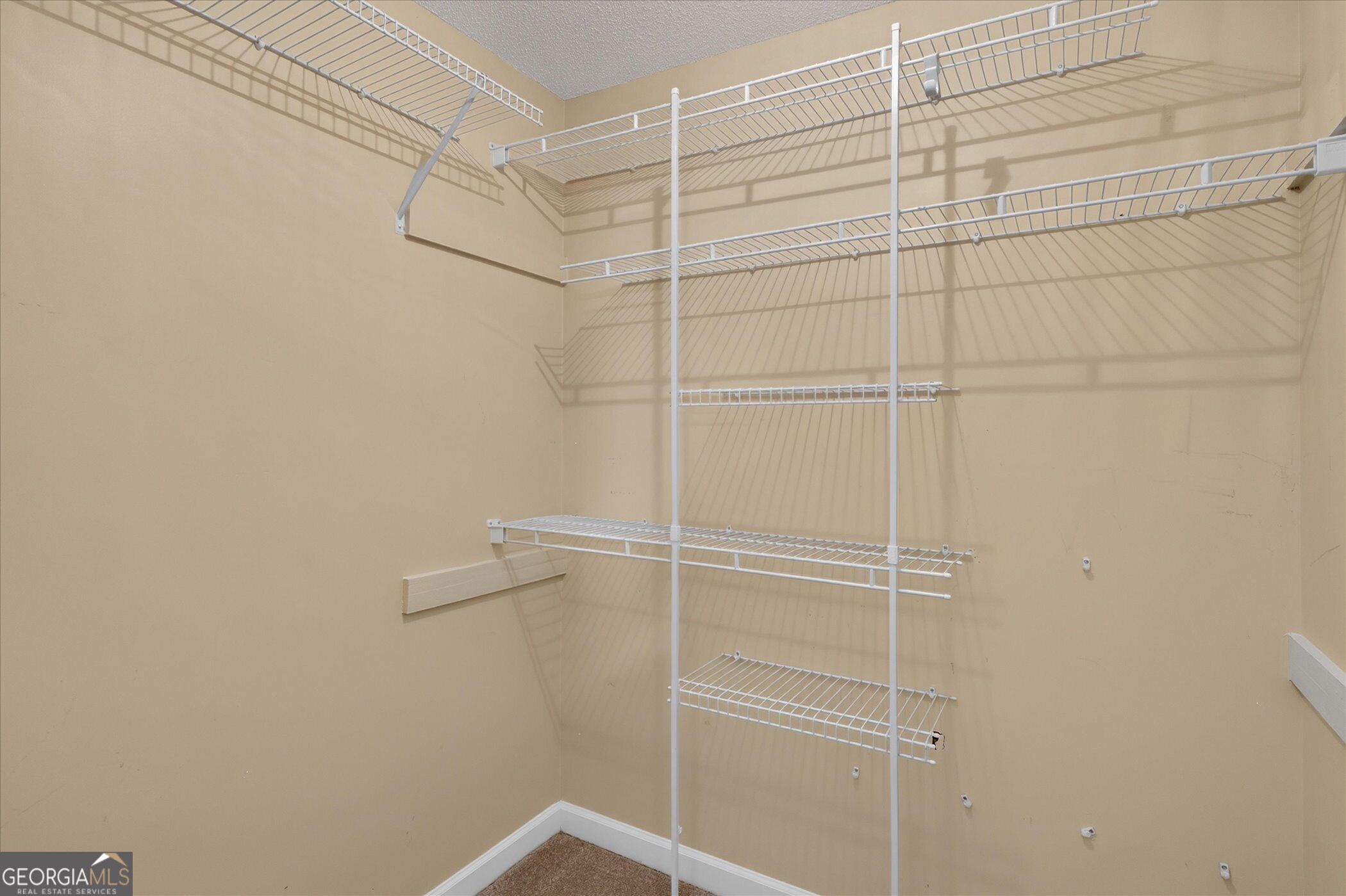 1607 Hardwick Drive Statesboro GA 30461