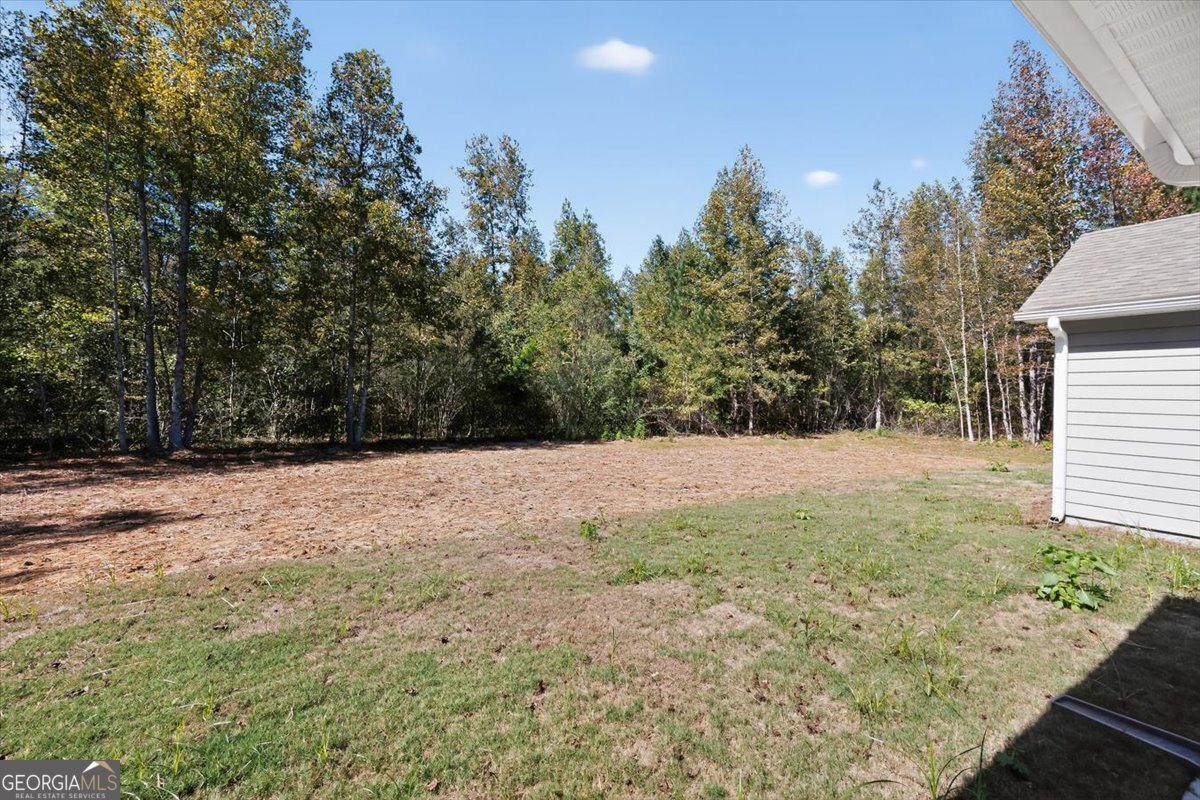 1570 The Rock Road Thomaston GA 30286