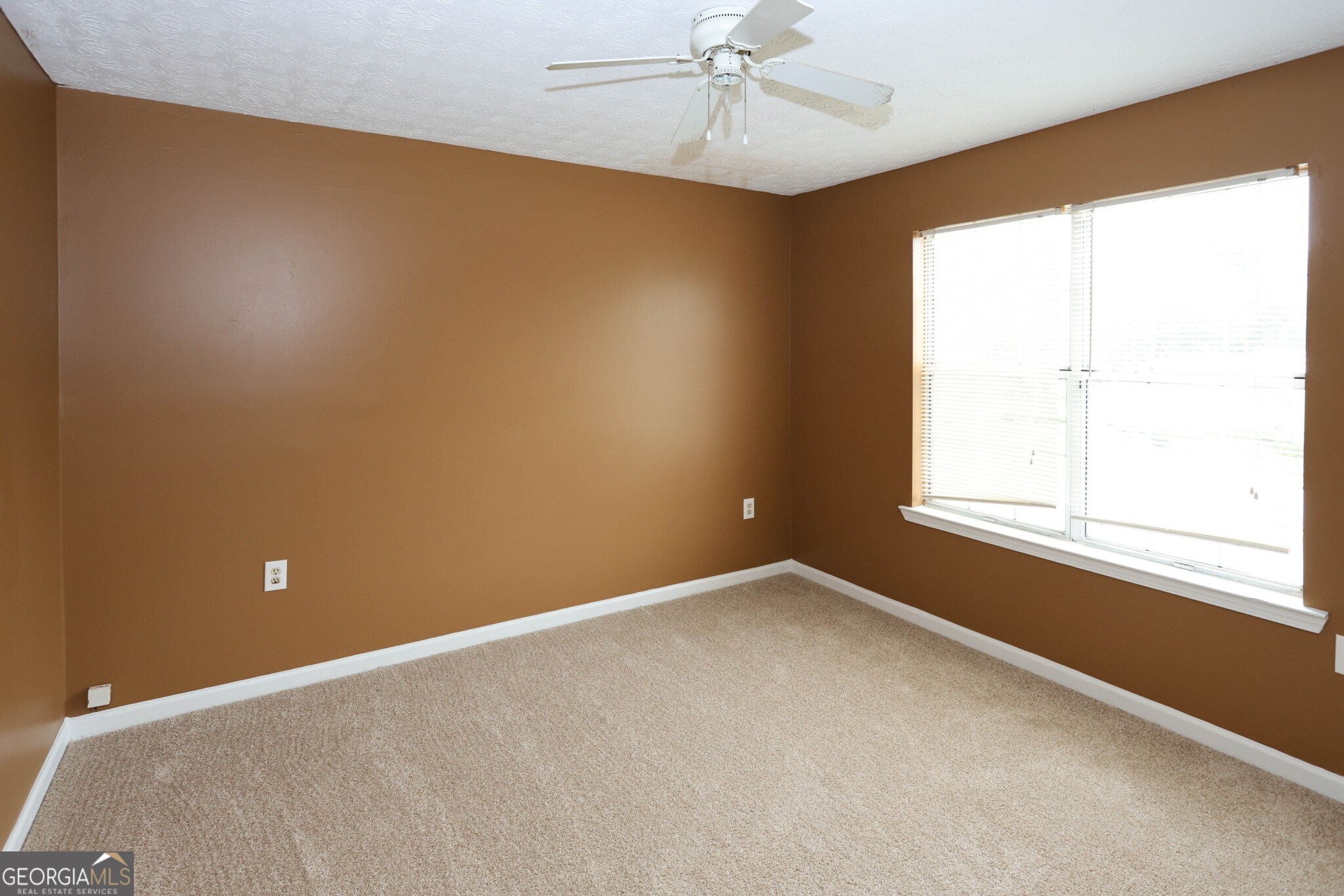 350 Wood Duck Drive Jonesboro GA 30238