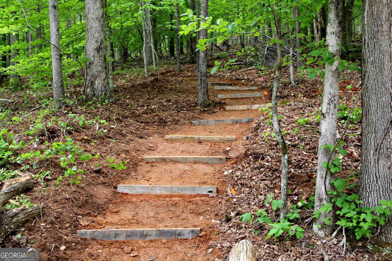 3845 Billabong Trail Gainesville GA 30506
