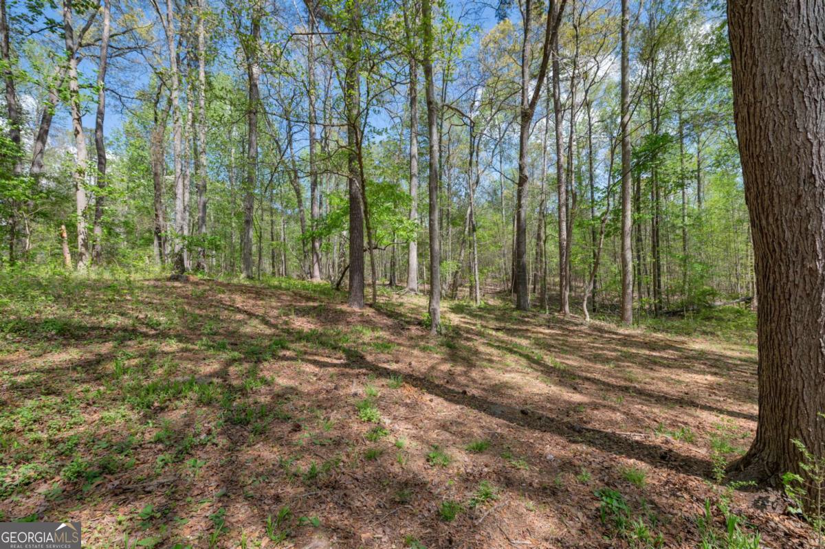 252 Amber Way Dallas GA 30157