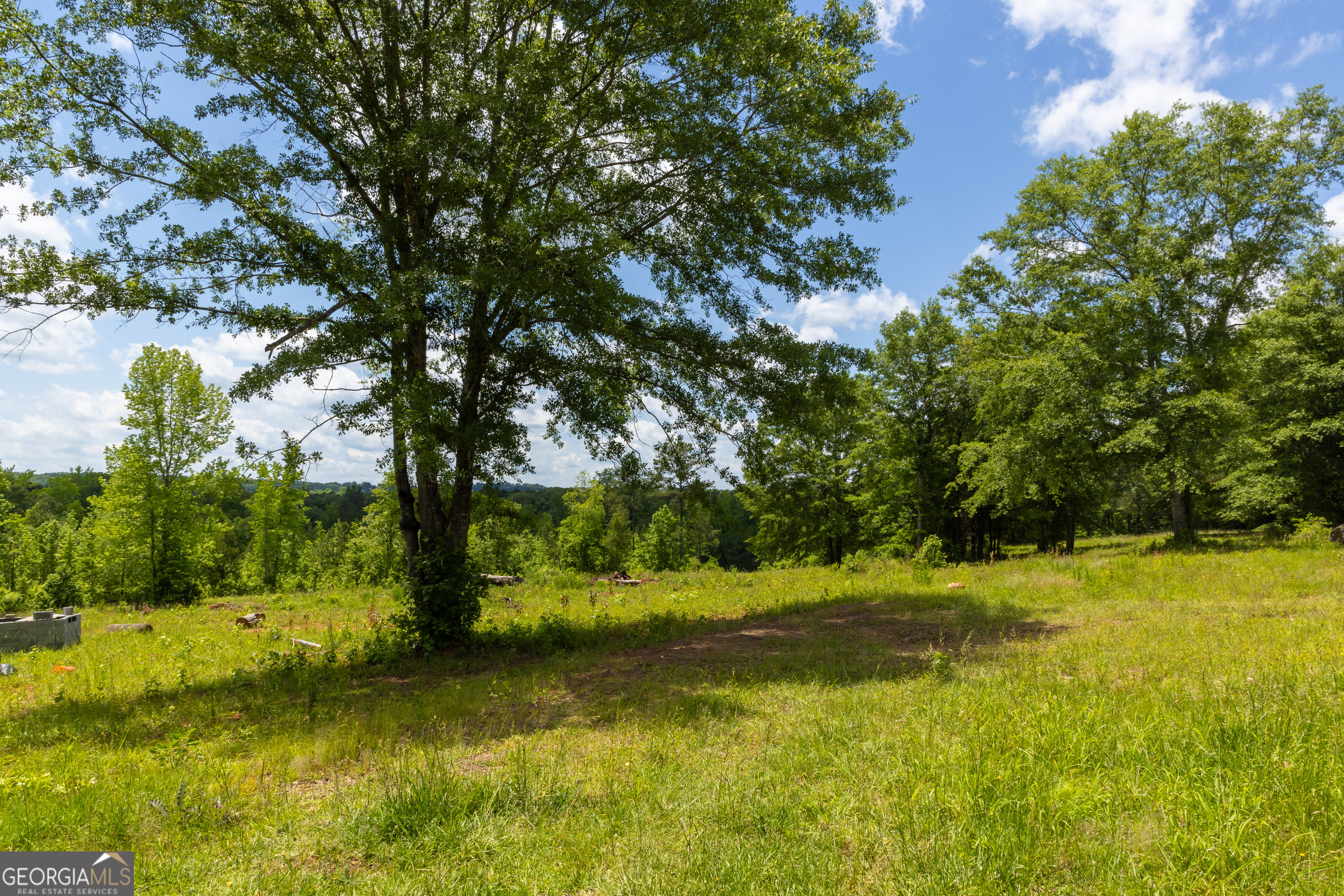 655 White Road Thomaston GA 30286