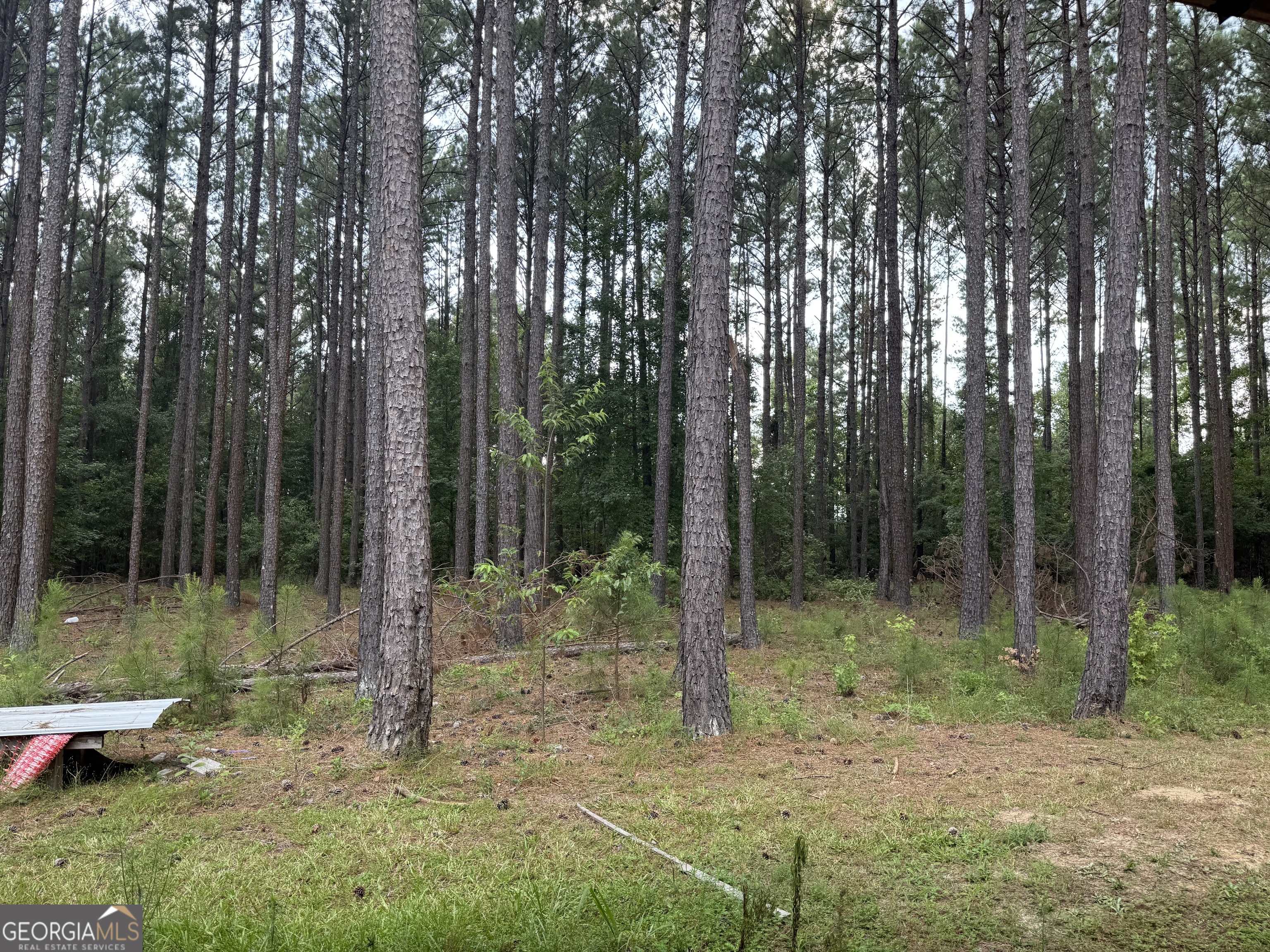 1550 Adabelle Road Register GA 30452