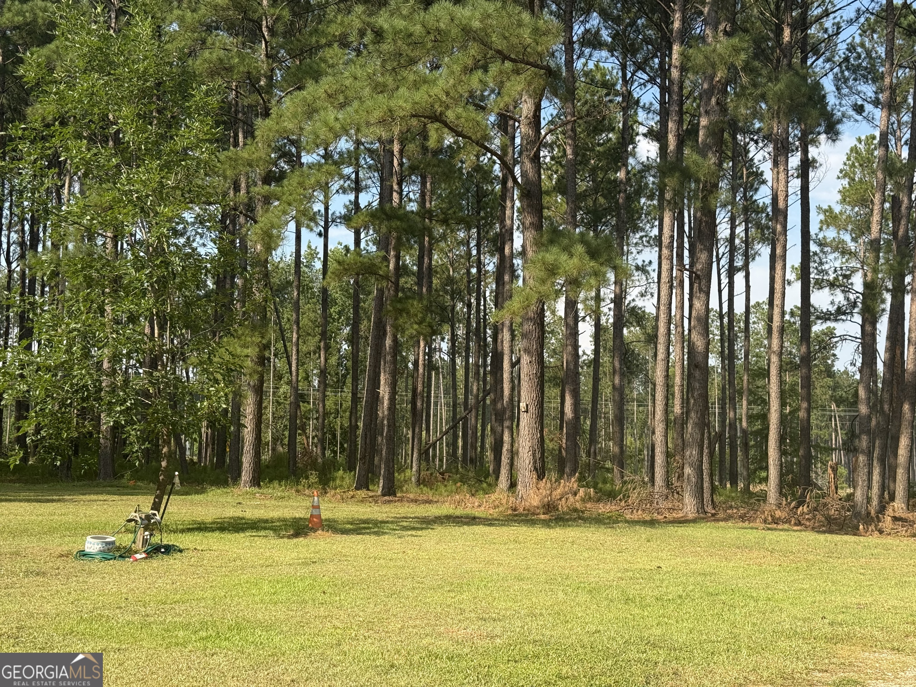 1550 Adabelle Road Register GA 30452