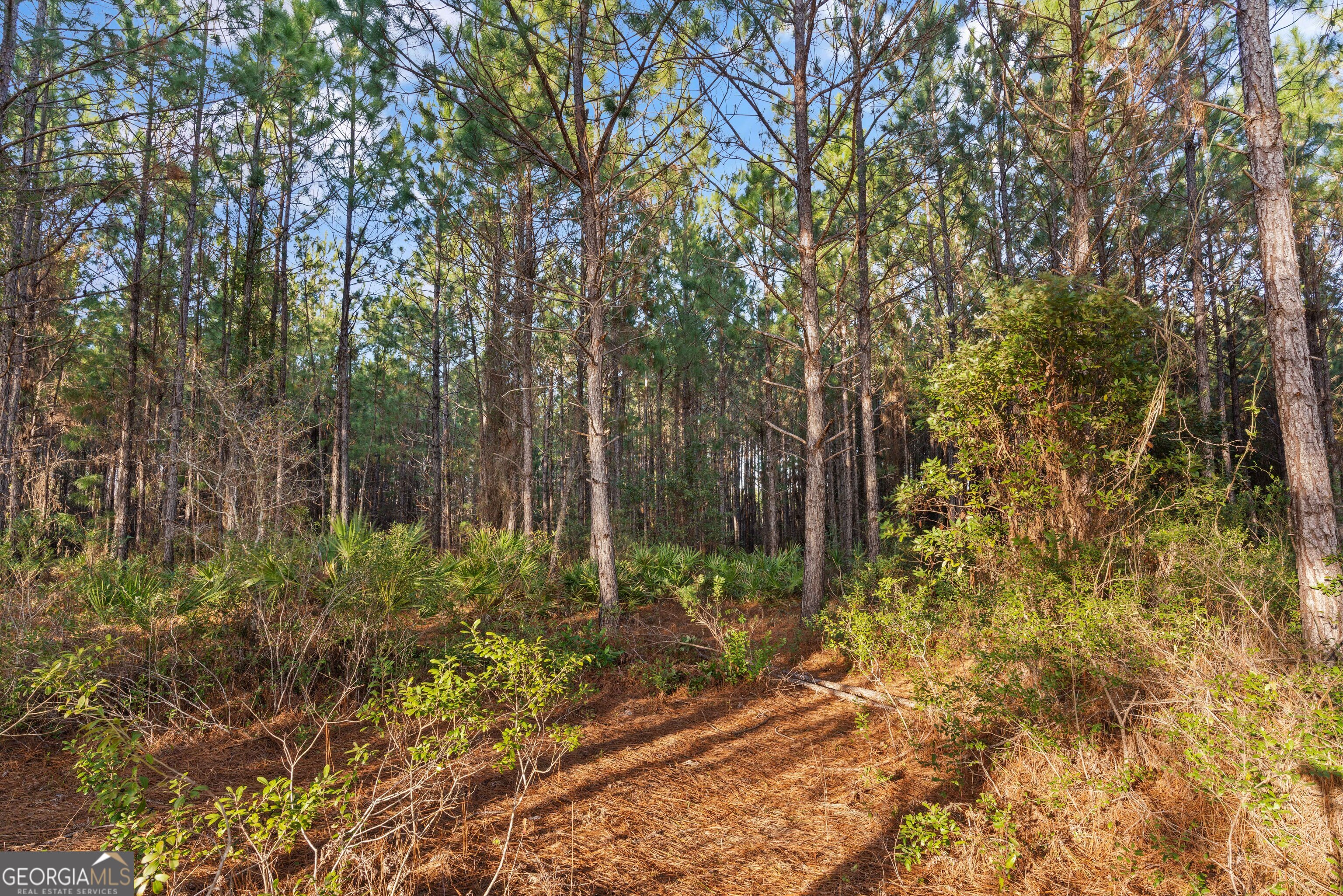 145 Dekan Avenue Brunswick GA 31525