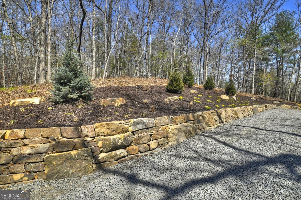 158 Spring Run Drive Blue Ridge GA 30513