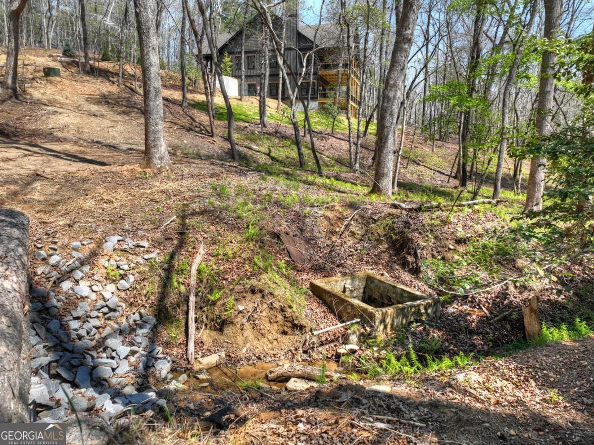 158 Spring Run Drive Blue Ridge GA 30513